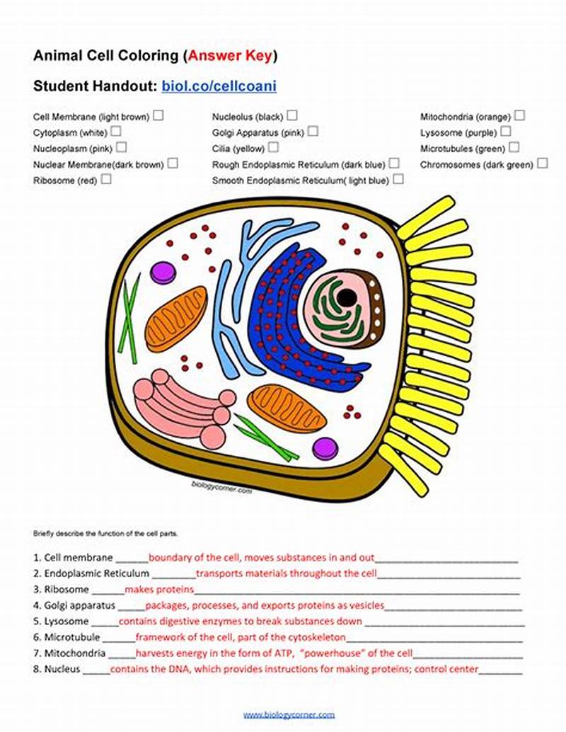 Exploring The Cell Coloring Book Answer Key