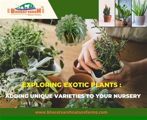 Exploring Unique and Exotic Varieties