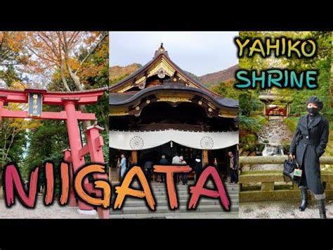 Exploring Yahiko Shrine