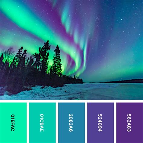 Exploring the Amazing Color Palette