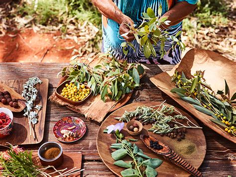 Exploring the Bounty: Native Plant-Based Ingredients in Colorado