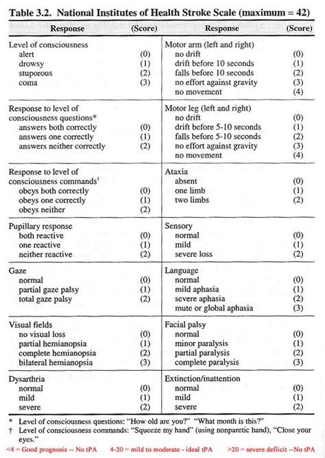 Exploring the Components of a Neurological Wiring Diagram apex innovations com NIH stroke scale