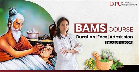Exploring the Curriculum of a BAMS Program