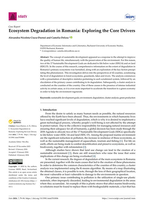 Exploring the Drivers Village Ecosystem
