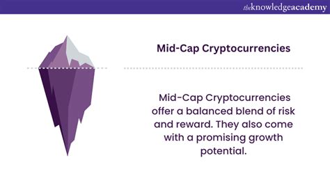 Exploring the Dynamic Mid-Cap Cryptocurrencies