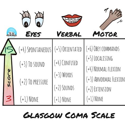 Exploring the Glasgow Coma Scale: A Comprehensive Overview