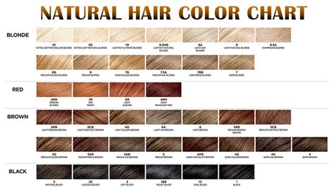 Exploring the Major Natural Hair Color Categories