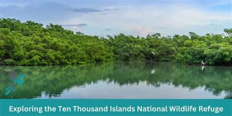 Exploring the Ten Thousand Islands