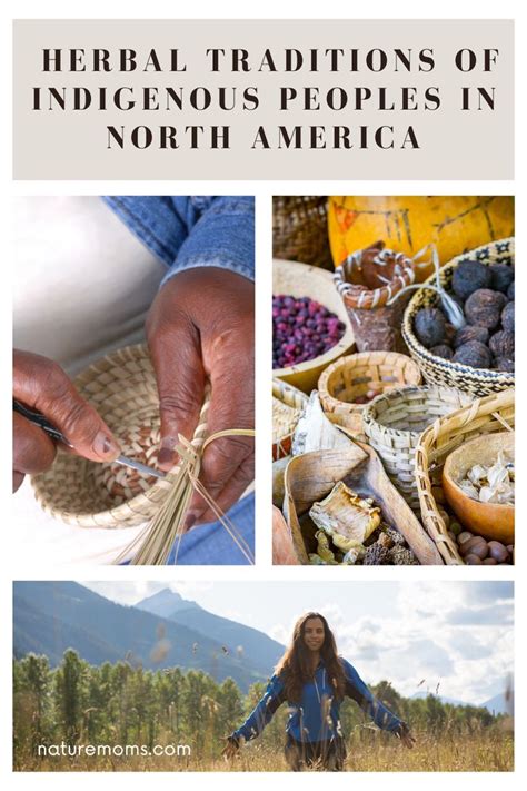 Exploring the World of Indigenous Medicinal Recipes