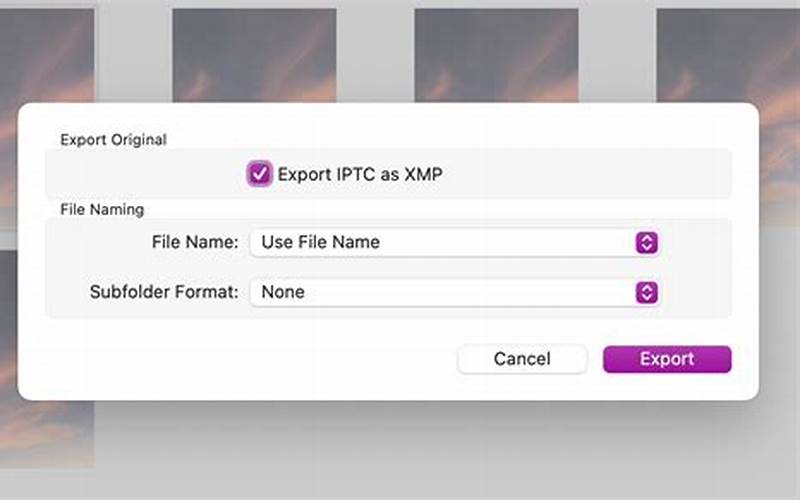 Export IPTC as XMP: A Beginner’s Guide