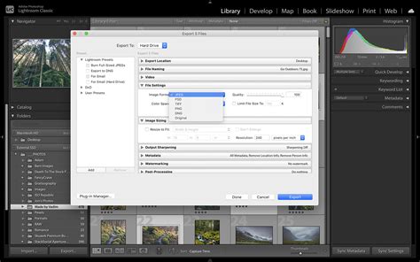 Export Lightroom Catalog With Edits