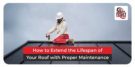 Extending Roof Lifespan (Maintenance vs. Replacement)
