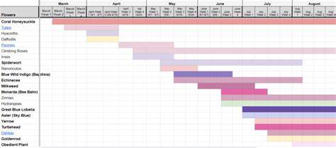 Extending the Bloom Time with Successive Planting