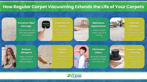 Extends Carpet Lifespan