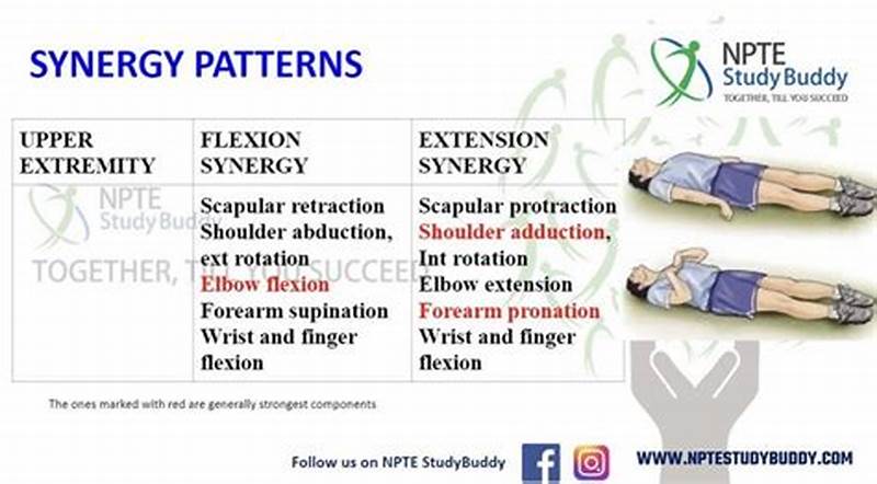 Extensor Synergy Pattern