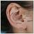 External Ear Anatomy Auricle