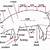 External Pig Anatomy