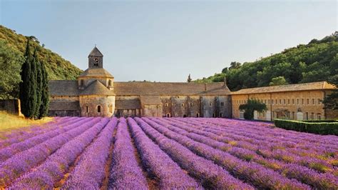 Extra Things Provence Tour