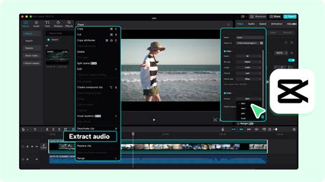Extract Audio