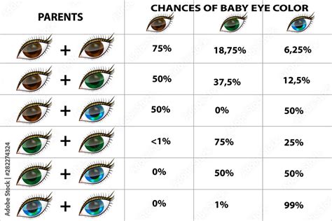 Eye Color Genetics Chart With Grandparents