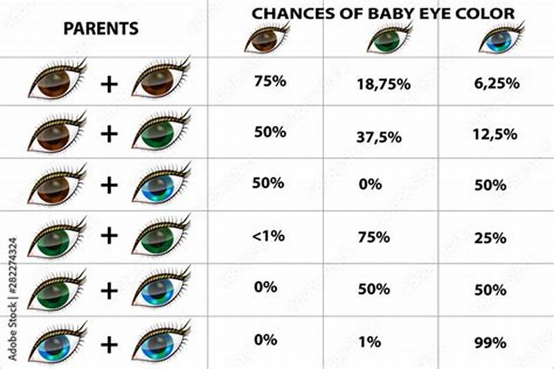 Eye Color Inheritance Chart