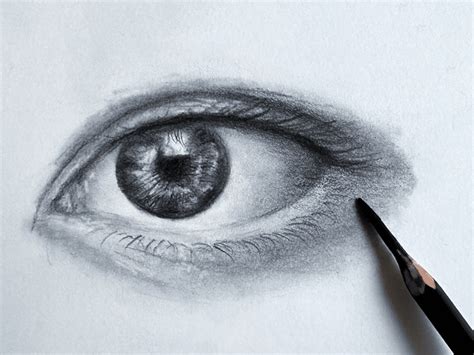 Eye