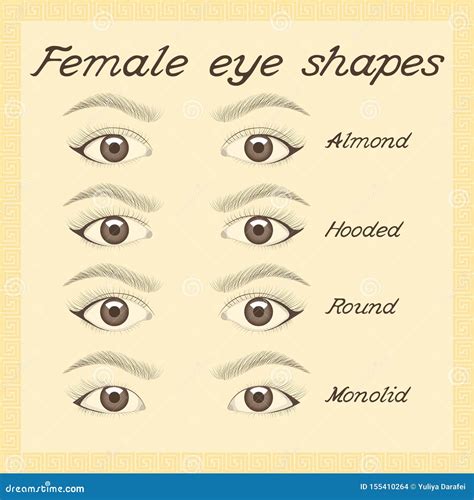 Eye Shapes Chart Female