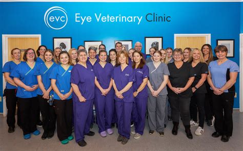 Eye Veterinary Clinic Near Me