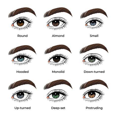 Eyeshadow Techniques