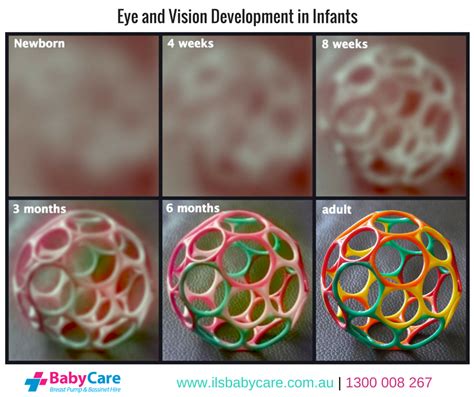 Eyesight development