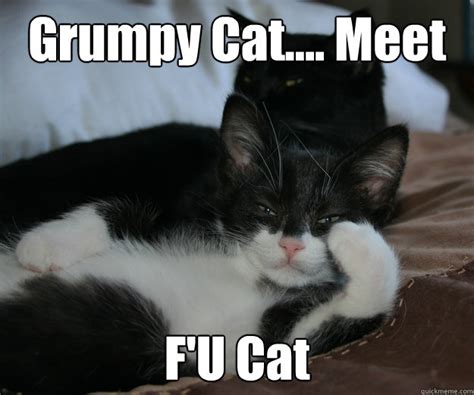F U Cat Meme