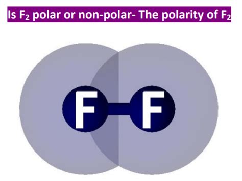 F2 Polarity