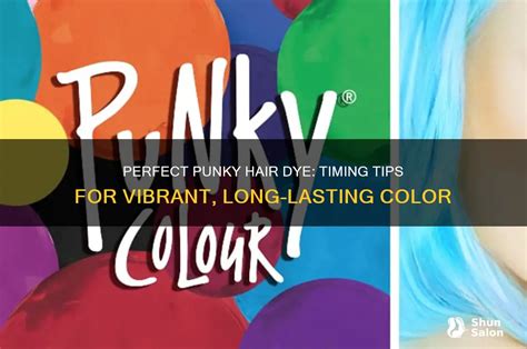 Common Punky Hair Dye Questions Answered
