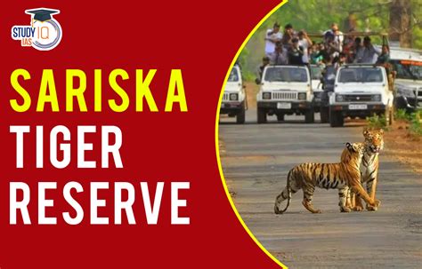 FAQ Sariska Tiger Reserve