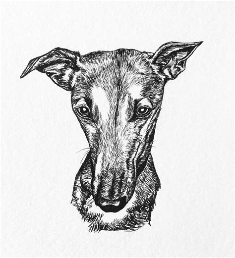 FAQ Section Ink Drawing Animal Art