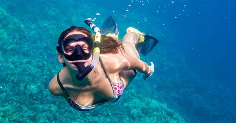 FAQ Snorkling tours