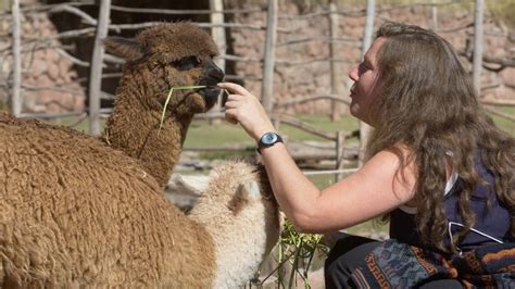 FAQ about Awanakancha