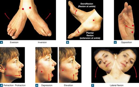 FAQ on Depression Joint Movement