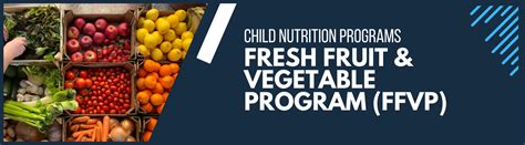 FFVP Program Structure