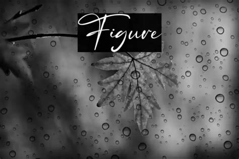 Finding The Best Free Fonts With Human Figures