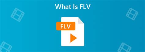 FLV Video Format