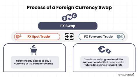 FXスワップポイント長期投資戦略
