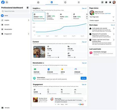 Tampilan Dashboard Profesional Facebook