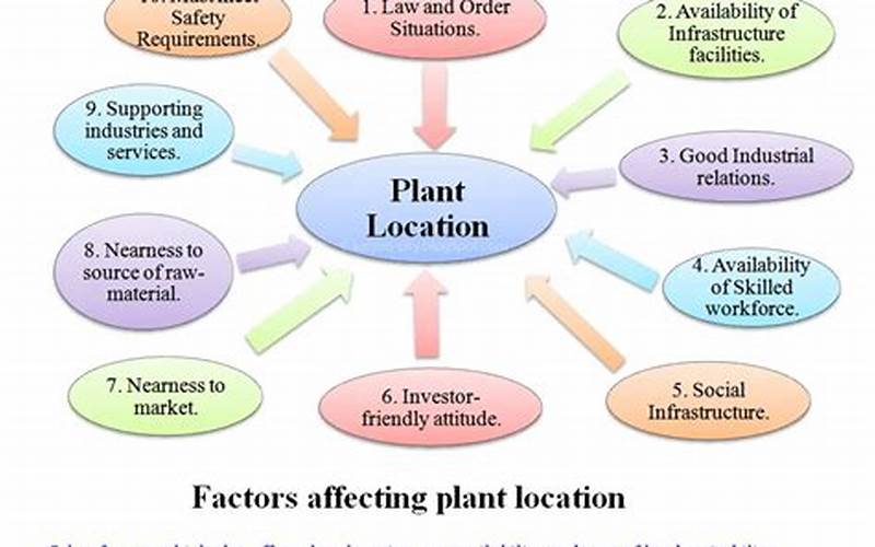 Factors That Affect Planting Zones