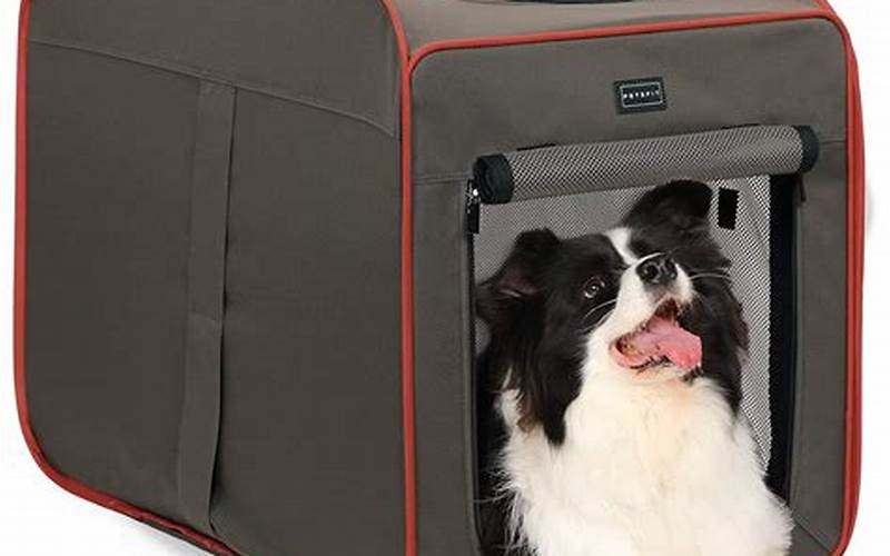 Factors To Consider Before Purchasing A Car Travel Crate
