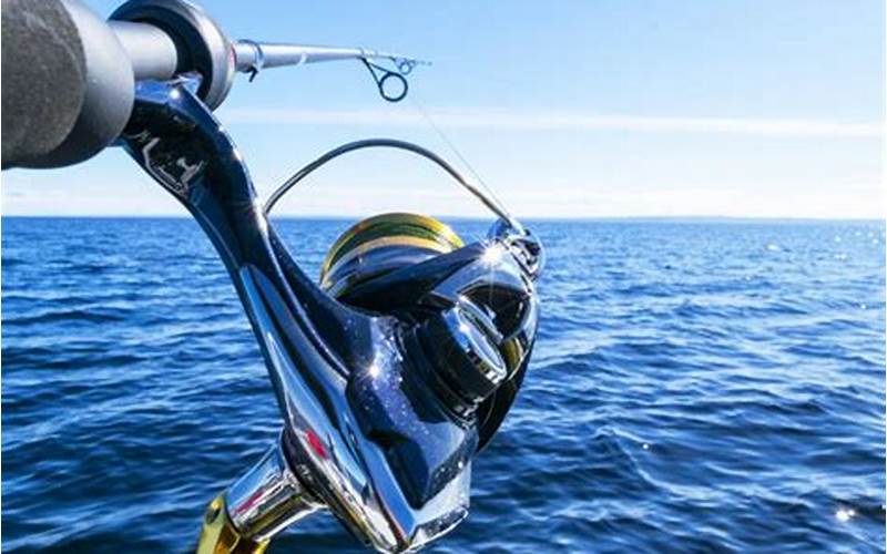 Factors To Consider When Choosing A Saltwater Fishing Line