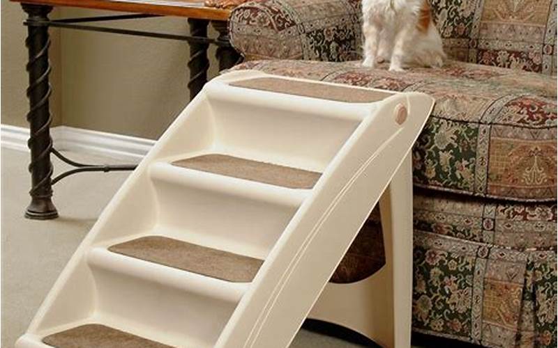 Factors To Consider When Choosing The Best Pet Stairs And Ramps