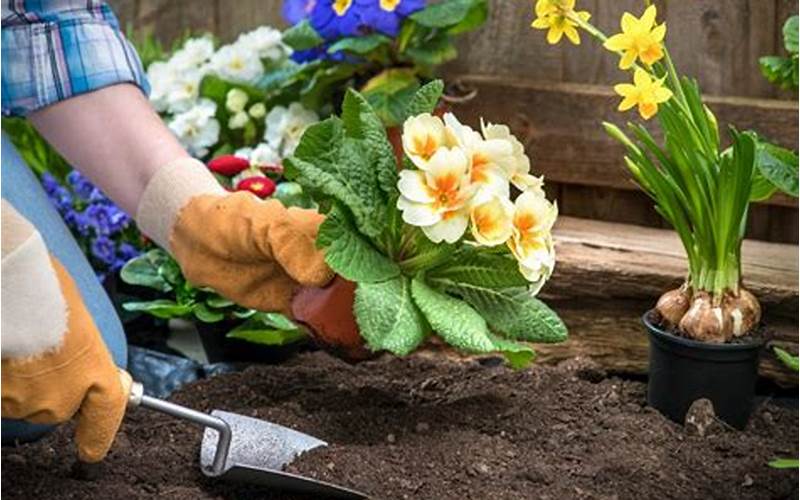 Factors To Consider When Planting Flowers