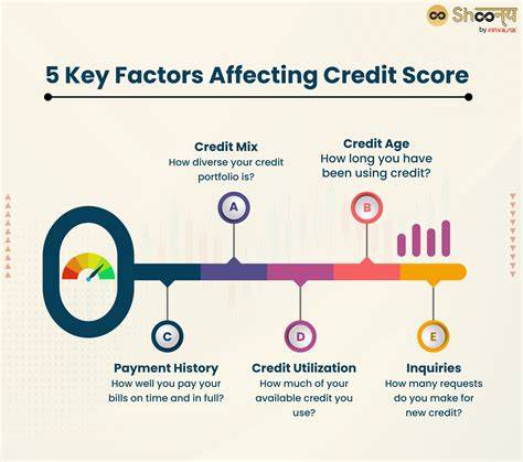 Factors Affecting Credit Score
