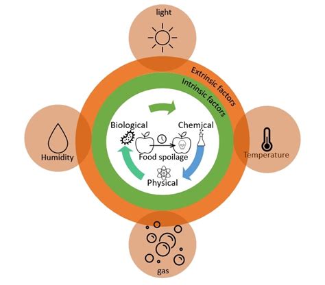 Factors Affecting Shelf Life